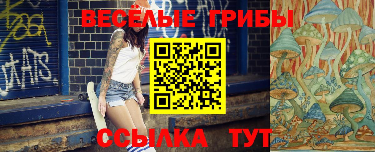 Псилоцибиновые грибы GOLDEN TEACHER Крымск